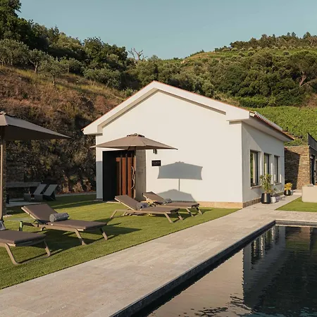 Villalta - Luxury Douro Valley Villa Gouvinhas